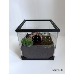 Terrarium Terra-X - 20x20x20 - Akrylowe  - Czarne - Otwierane od góry