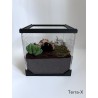 Terra-X - Spider Enclosure - Approx. 8x8x8" (20x20x20cm") - Acrylic Glass