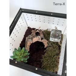 Terrarium Terra-X - 20x20x20 - Akrylowe  - Czarne - Otwierane od góry