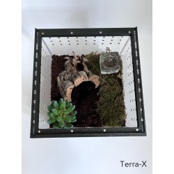 Terrarium Terra-X - 20x20x20 - Akrylowe  - Czarne - Otwierane od góry